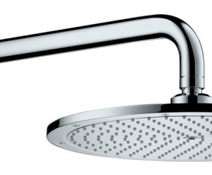 Для спорта и фитнеса 41 - Верхний душ Hansgrohe Raindance AIR 27493000 купить